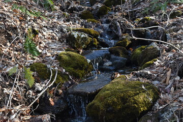 Mont Ham 16 Au 18 Avril 2022