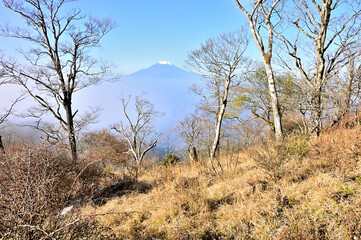 丹沢の檜洞丸より望む初冬の富士山
