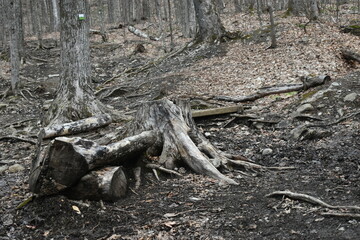 Mont Ham 16 Au 18 Avril 2022