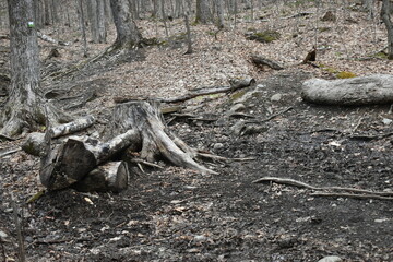 Mont Ham 16 Au 18 Avril 2022