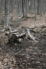 Mont Ham 16 Au 18 Avril 2022
