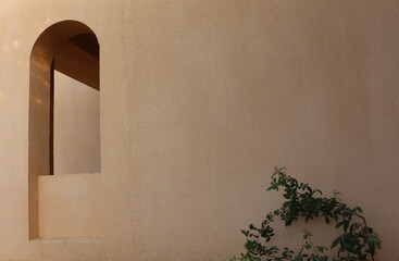 The wall of the building with the arch-shaped window and plants near it. Light shadows on the wall.