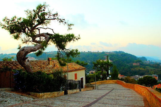 Large road placed between an Italian house with a curved pine tree near it and fantastic view at green hills before sunset in Cupra Marittima Alta (Marano)