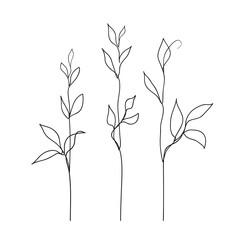 Herb line art collection. Abstract leaves continuous line drawing set. Botanical elegant vector illustration