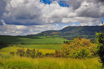 undergrowth and small trees in the foreground, in the background a green valley and distant mountains, under a sky covered by thick clouds.