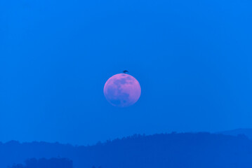 Obraz na płótnie Canvas landscape of pink moon in the moonrise