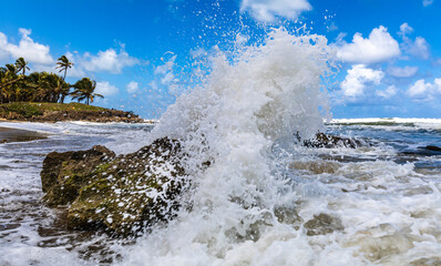 Crashing Waves on the Rocks in the Dominican Republic
