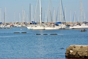 Obraz premium Punta del Este, Maldonado, Uruguay - January 4, 2022: Boats in Punta del Este Marina
