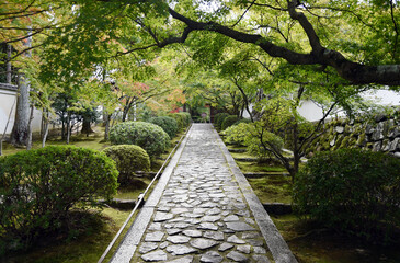 酬恩庵一休寺　総門からの参道　京都府京田辺市