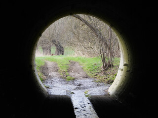 Blick durch einen kreisrunden Tunnel auf einen Feldweg zwischen grünen Graswiesen 