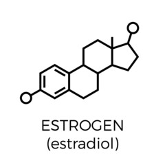 Vector thin line icon of estrogen molecular structure. Chemical formula