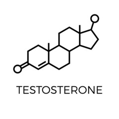 Vector thin line icon of testosterone molecular structure. Chemical formula - obrazy, fototapety, plakaty