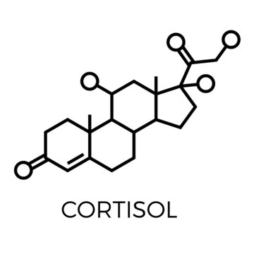 Vector thin line icon of cortisol molecular structure. Chemical formula