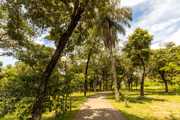 Natural landscape in the city of Montes Claros, State of Minas Gerais, Brazil