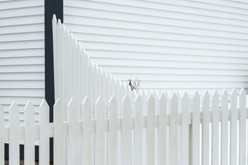The exterior corner of a vintage wooden building with a black trim edging. The wall is covered in white horizontal narrow clapboard siding. There's a white picket fence attached to the building. 