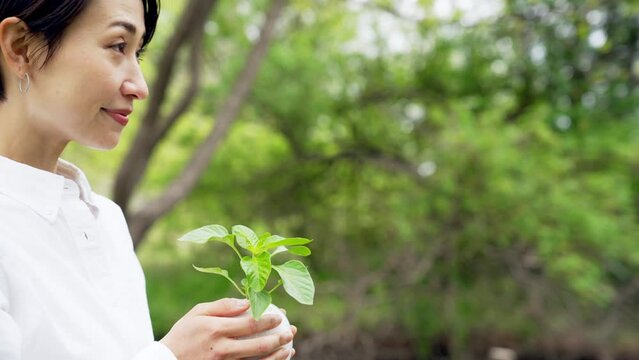 植物を手渡す親子　環境保護イメージ　サステナブル　SDGs