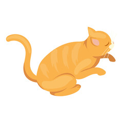 asleep cat design