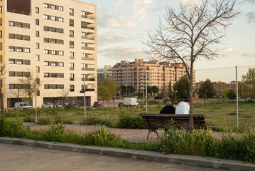 Young friends drinking outside at sunset park