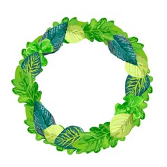  frame of green summer forest leaves, oak,pine and birch on white background for your design	