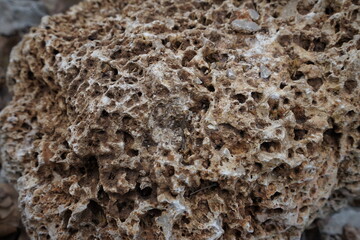 slice of bread