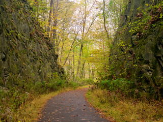 Walking path through a gorge in fall