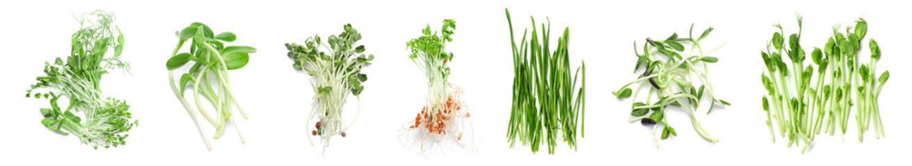 Obraz premium Assortment of healthy micro greens on white background, top view