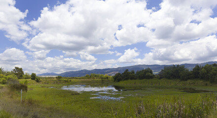 Fototapeta premium wetland in south america with mountains