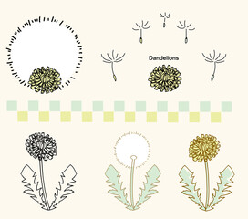 set of flowers Dandelion