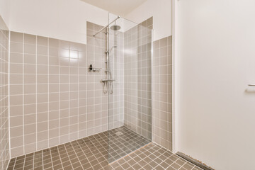 Glass shower with brown tiles decoration and white door