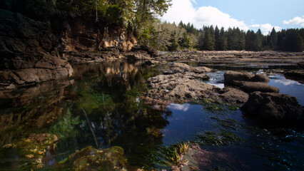 Fototapeta premium low tide beach