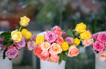 Roses of multi colors display in a florist shop. Copy space.