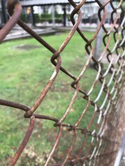 Steel wire mesh to block boundaries as a fence. Divide the boundaries of the area with a fence.