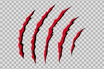 Claw scratches of wild animal. Cat scratches marks with blood isolated in transparent background. Monochrome vector illustration