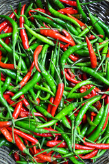 red and green paprika in basket
