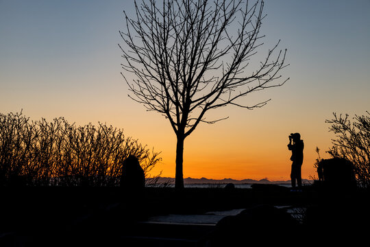 photographer taking a picture of a tree at sunset