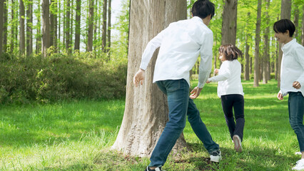 森で遊ぶ親子　ファミリー　自然　アウトドア