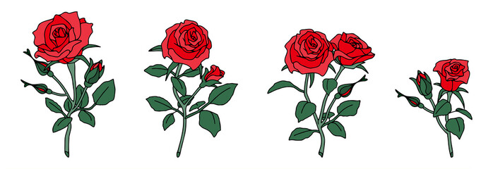 薔薇の花　セット