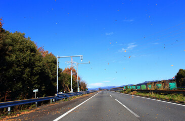 落葉舞う秋の東名高速道路をドライブ