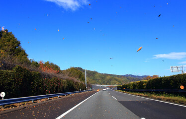落葉舞う秋の東名高速道路をドライブ