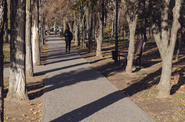 A gray walkway among the trees in a European city. A woman with brown hair walks away on the sidewalk. Brown benches with garbage cans along the sidewalk.