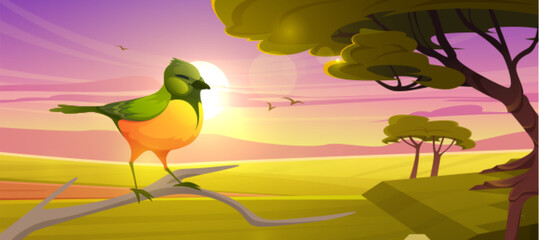 Cute bird sitting on branch on background of savannah at sunset. Vector cartoon illustration of savanna landscape with african emerald cuckoo, acacia trees, green grass and sun at evening