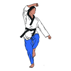 vector illustaration of taekwondo do some technique