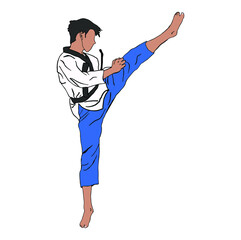 vector illustaration of taekwondo do some technique
