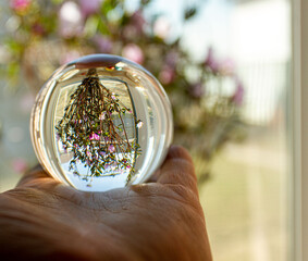 в стеклянном шаре отражение весеннего букета к пасхе