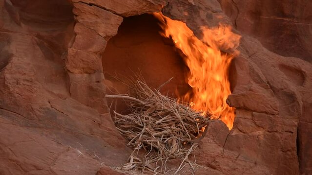 Fire burning in a brown rock cavity, Wadi Rum, Jordania