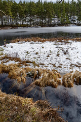 frozen lake in the nature reserve hökensas near tidaholm in sweden