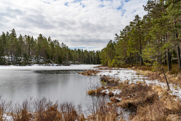 frozen lake in the nature reserve hökensas near tidaholm in sweden