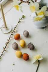 easter eggs and yellow narcissus flower. painted easter eggs on a white surface top view. chicken eggs dyed with natural dyes. colorful Easter eggs close-up.