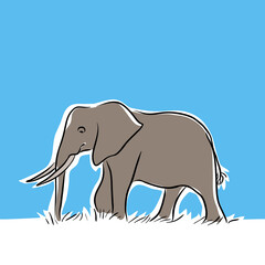 African Elephant Vector illustration