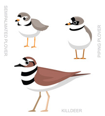 Cute Bird Plover Killdeer Set Cartoon Vector
